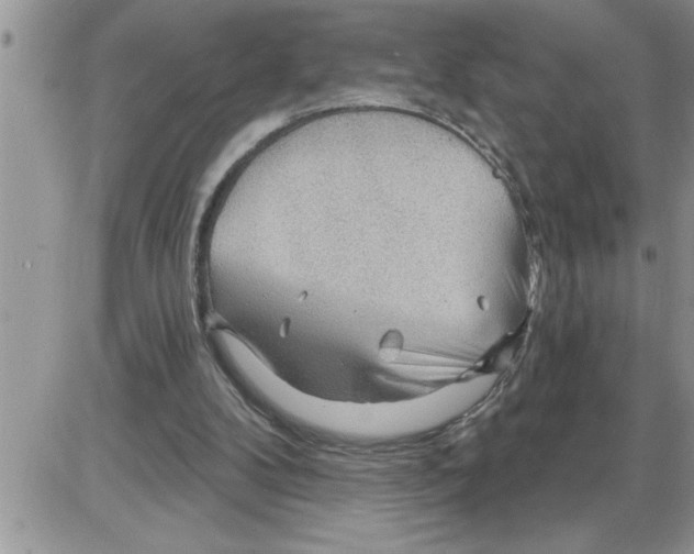 X0000086320104200704271927
