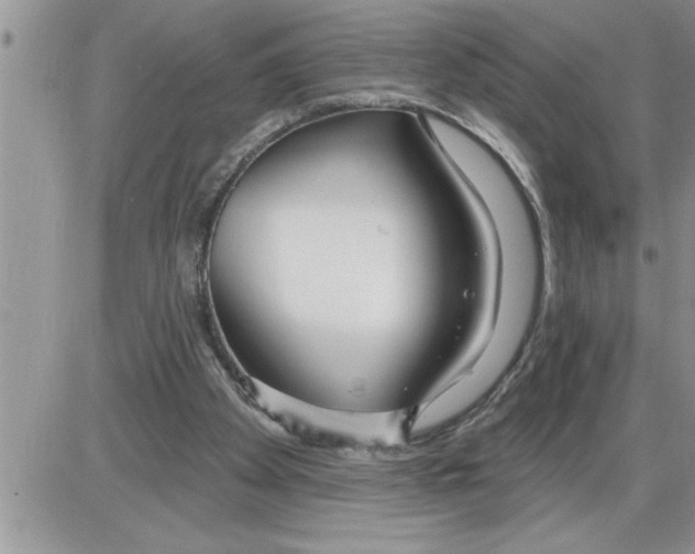 X0000086320105200704271927