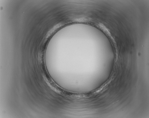 X0000086320106200704271927