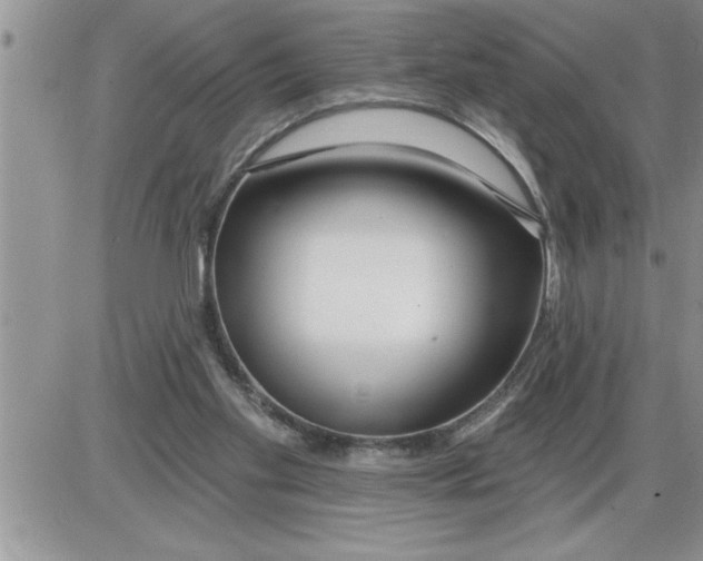 X0000086320109200704271927