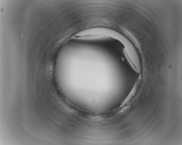 X0000086320113200704271927