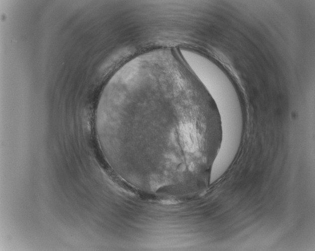 X0000086320114200704271927