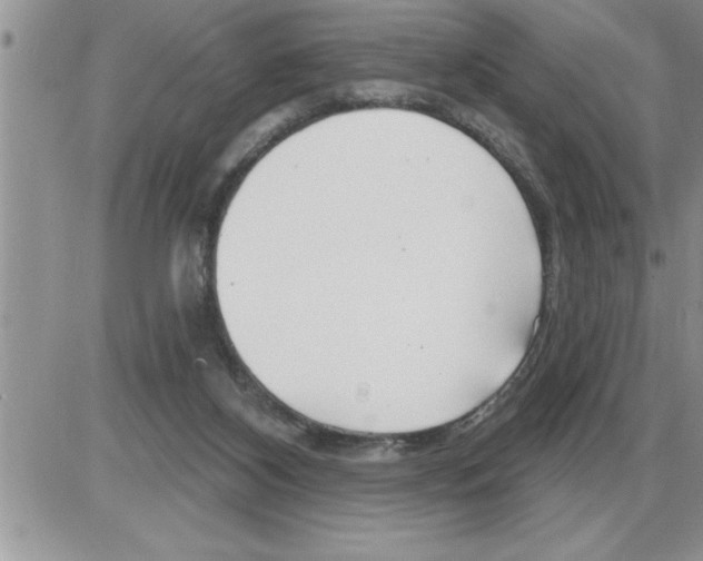 X0000086320116200704271927