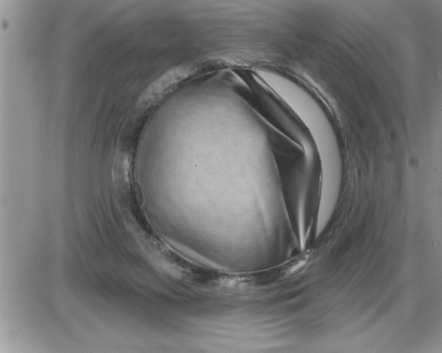 X0000086320117200704271927