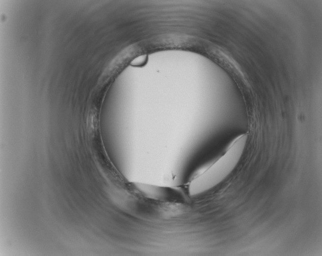 X0000086320119200704271927