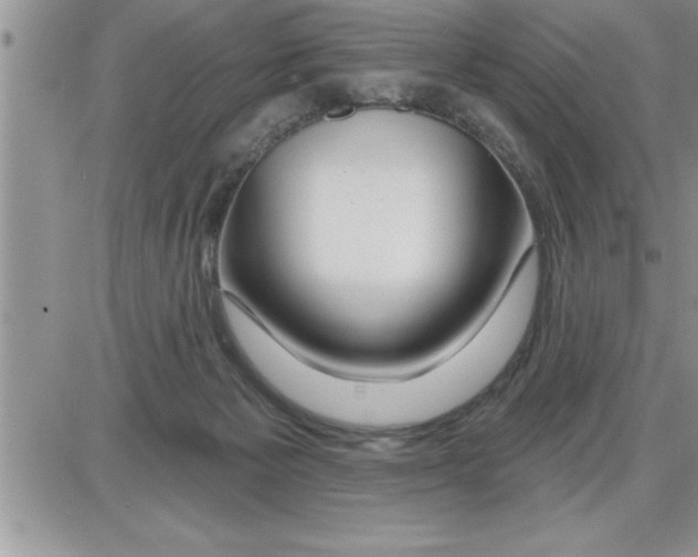 X0000086320125200704271927