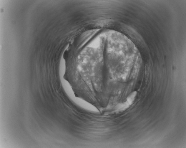 X0000086320127200704271927
