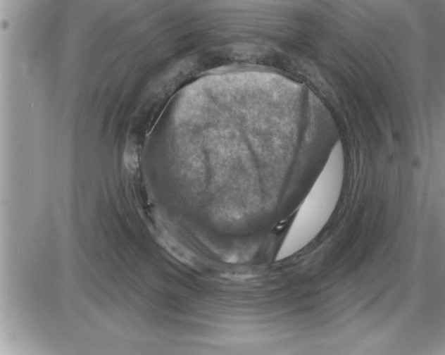 X0000086320137200704271927