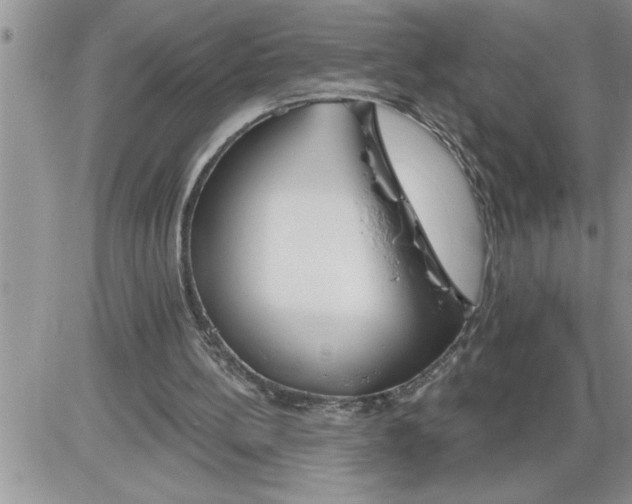 X0000086320148200704271926