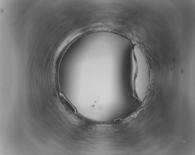 X0000086320150200704271926