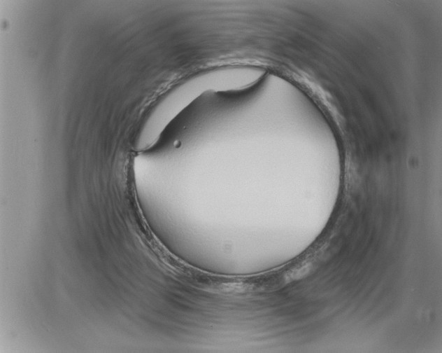 X0000086320153200704271926