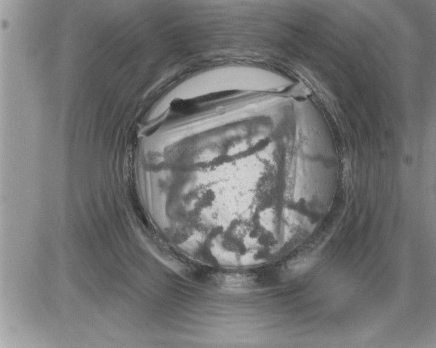 X0000086320165200704271926
