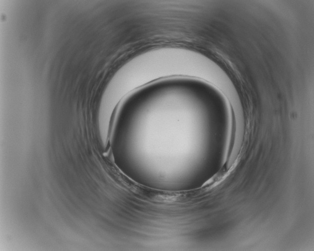 X0000086320170200704271926