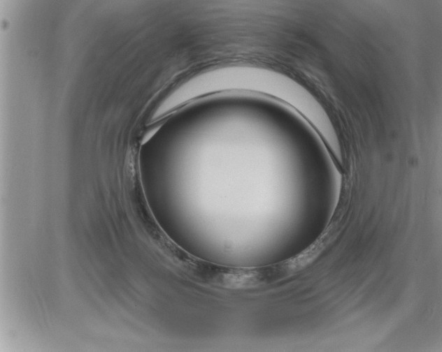 X0000086320172200704271926