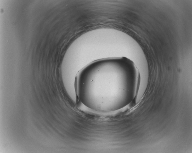 X0000086320180200704271926