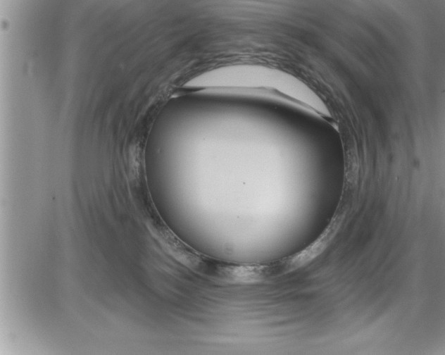 X0000086320184200704271926