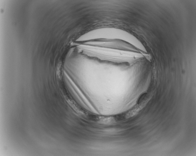 X0000086320185200704271926