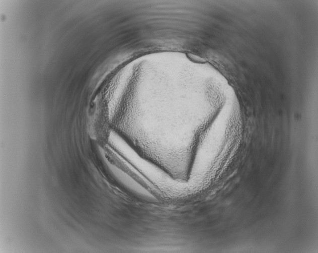 X0000086320194200704271926