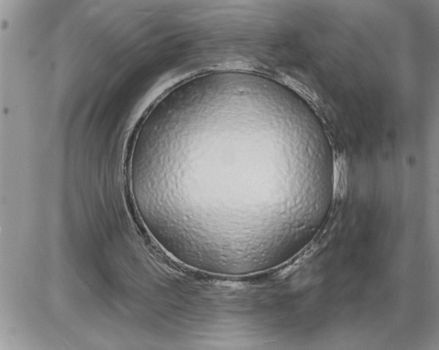 X0000086320195200704271926