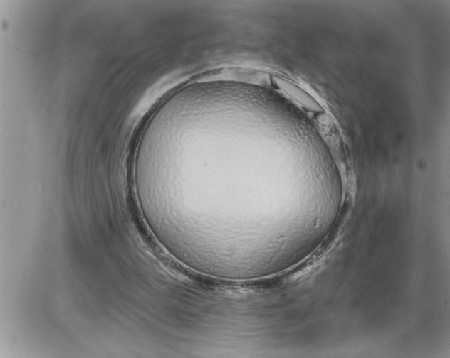 X0000086320199200704271926