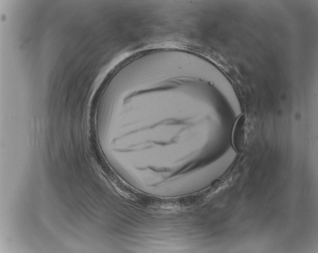 X0000086320200200704271925