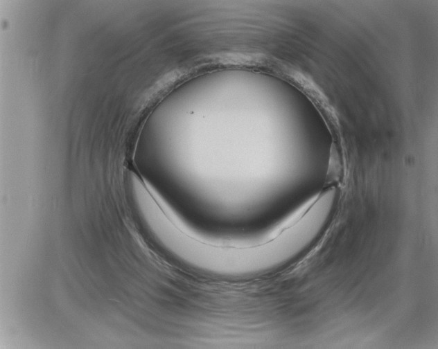 X0000086320201200704271925