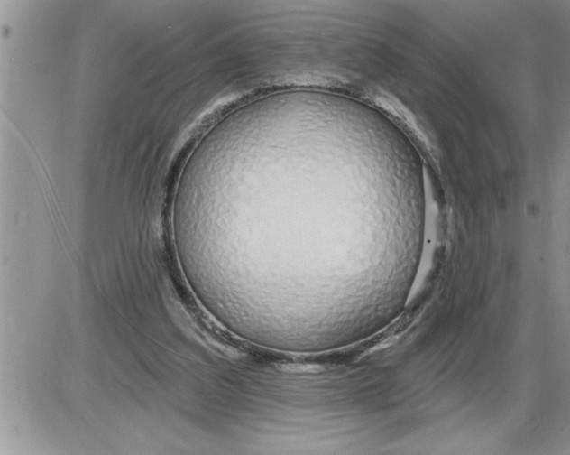 X0000086320203200704271925