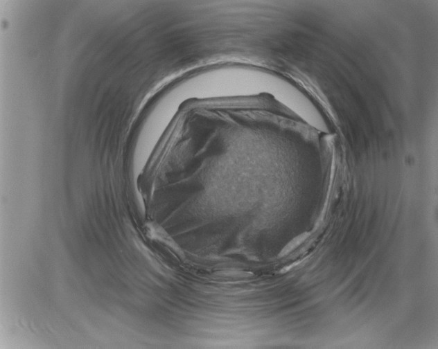 X0000086320204200704271925