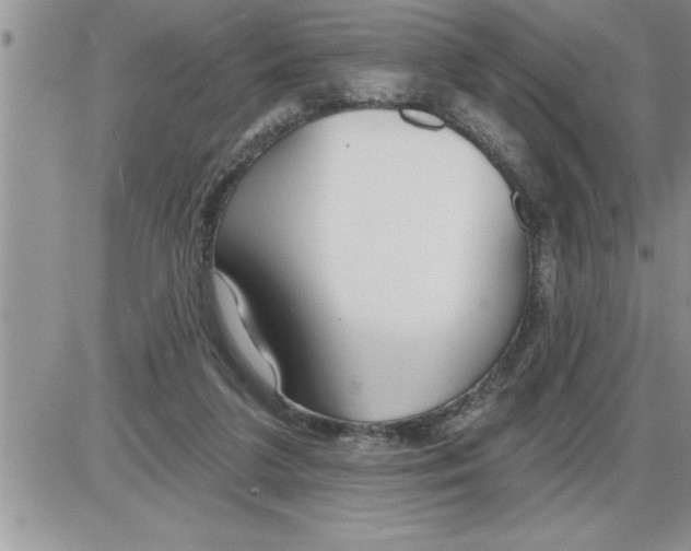 X0000086320211200704271925