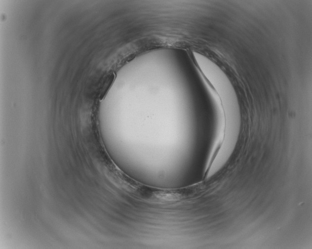 X0000086320221200704271925
