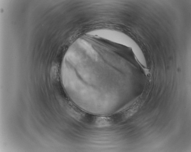 X0000086320222200704271925