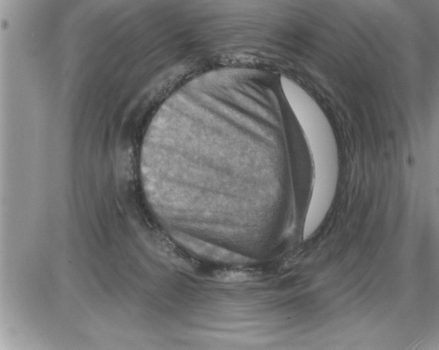 X0000086320224200704271925