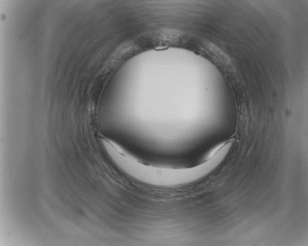 X0000086320225200704271925