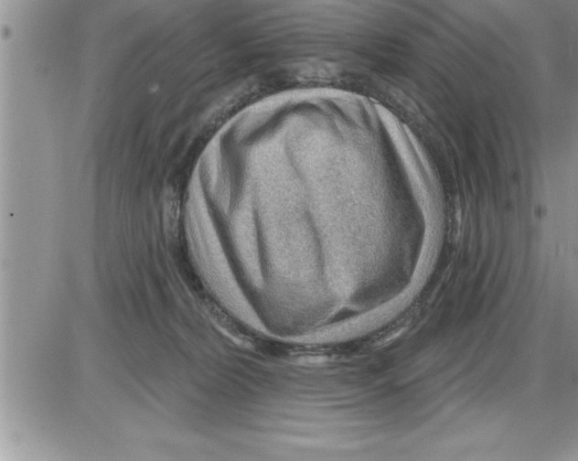 X0000086320228200704271925