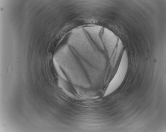 X0000086320229200704271925