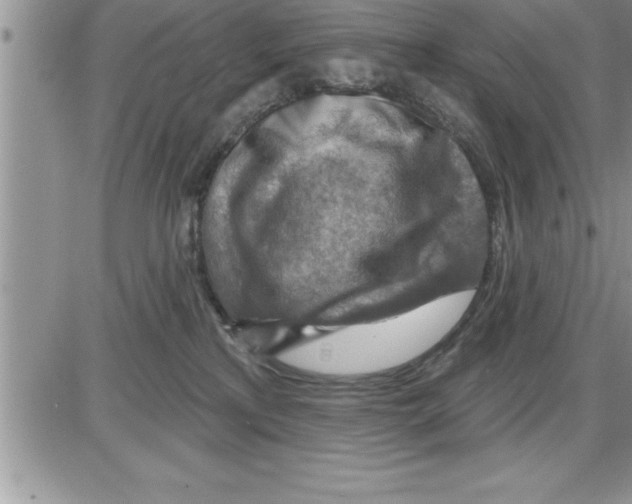 X0000086320233200704271925