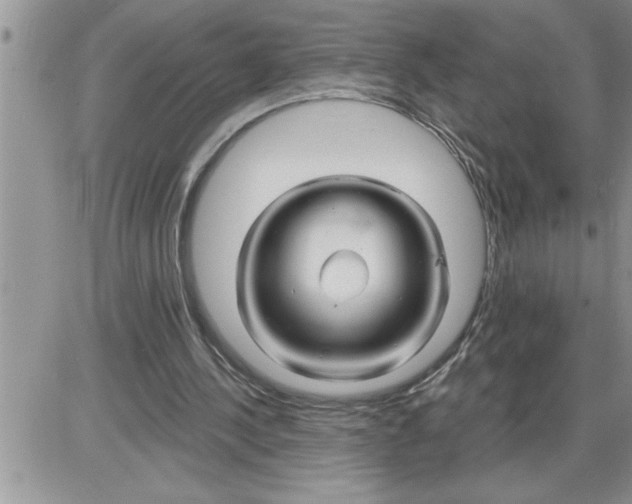 X0000086320244200704271924