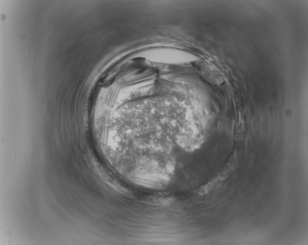 X0000086320247200704271924
