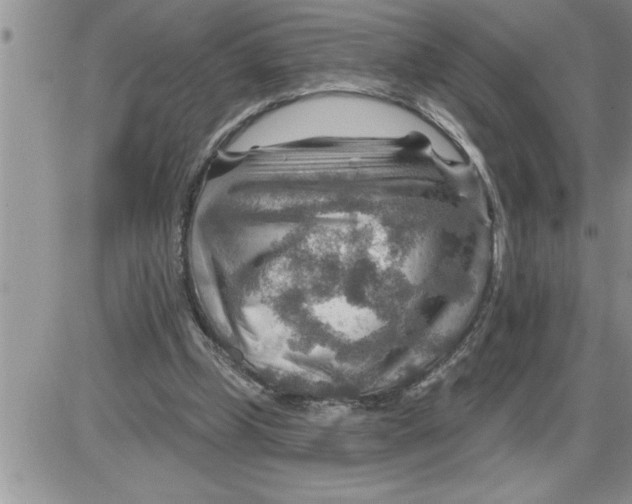 X0000086320249200704271924