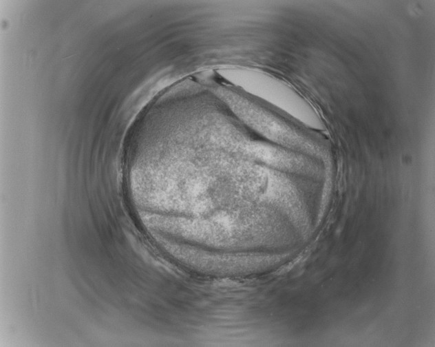 X0000086320290200704271924