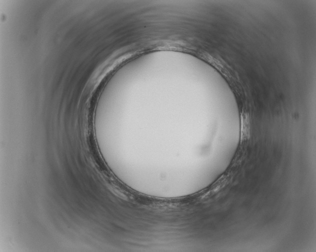 X0000086320291200704271924