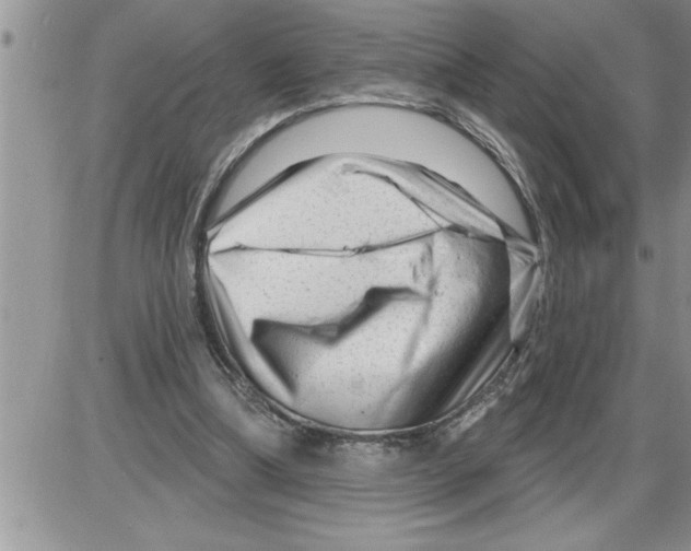X0000086320298200704271924