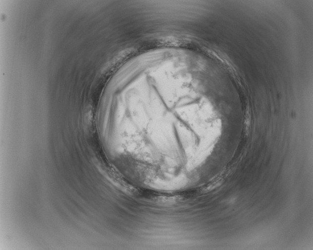 X0000086320314200704271924