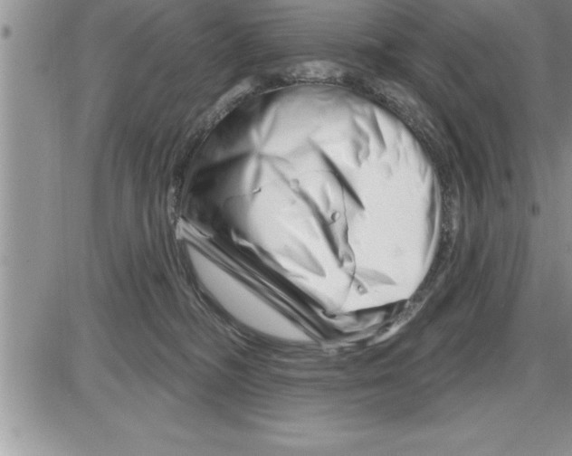 X0000086320326200704271923