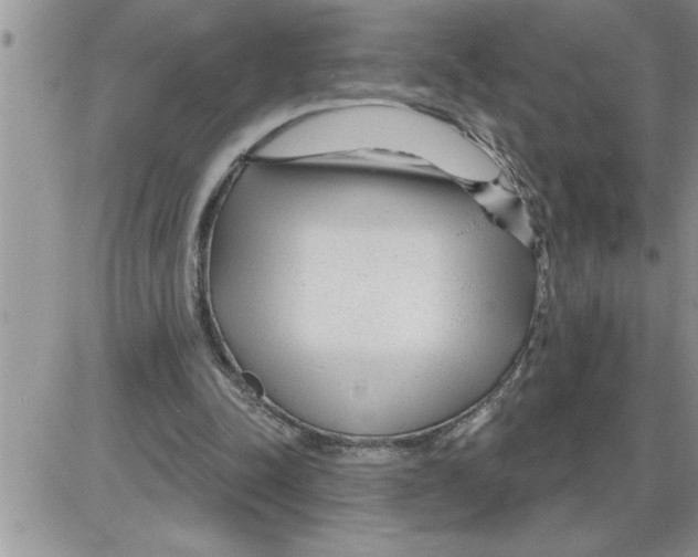 X0000086320342200704271923