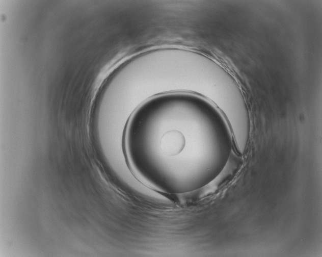 X0000086320344200704271923