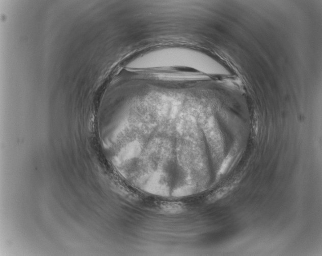 X0000086320355200704271923