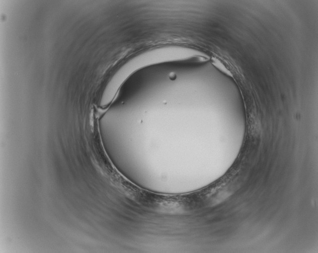 X0000086320358200704271923