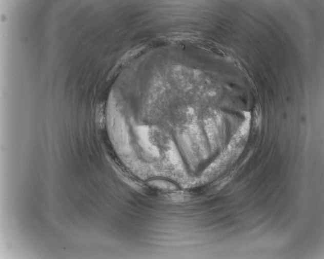 X0000086320383200704271923
