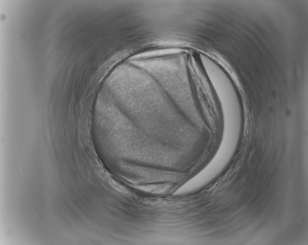X0000086320385200704271922